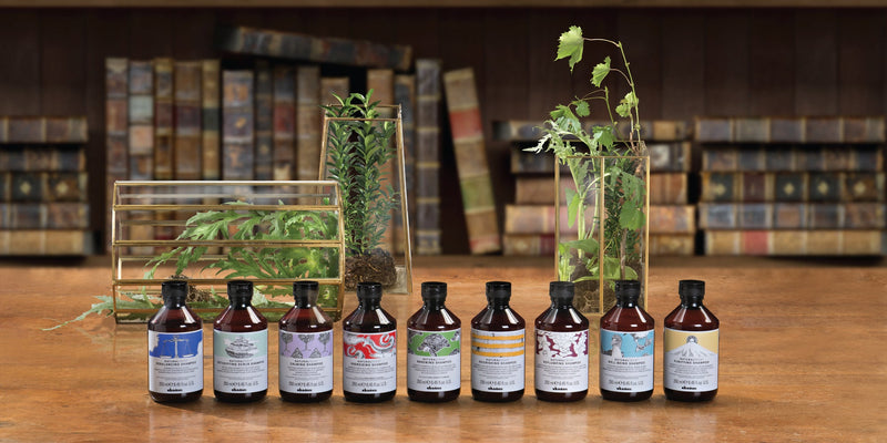 Greasy hair: causes and remedies